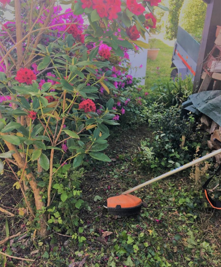 Allo Jardi Brico Travaux De Bricolage Lorient Jardinage07 1